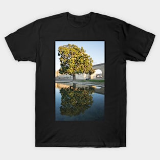 Montpellier tree. T-Shirt